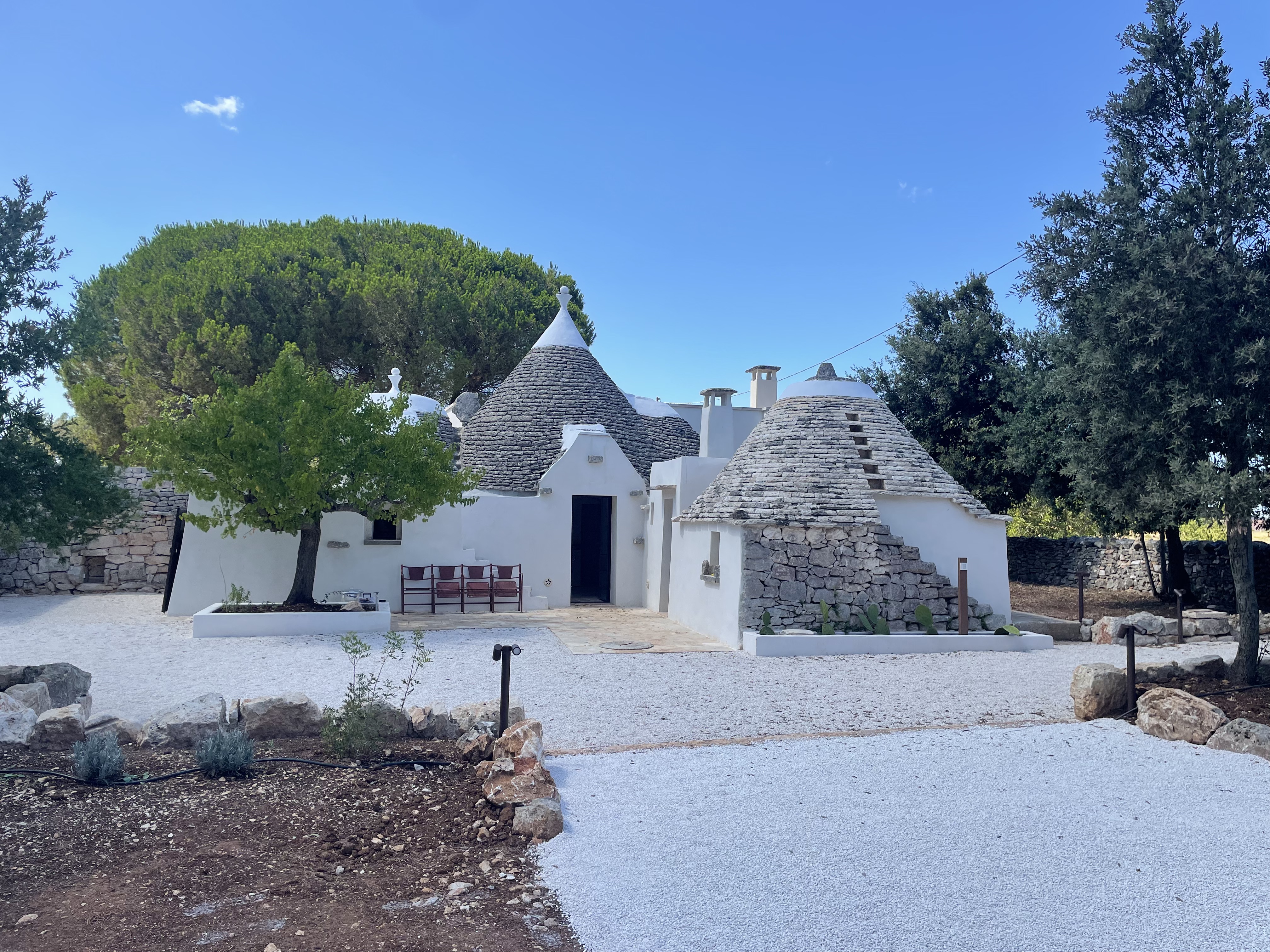 Trullo al tramonto tra gli ulivi
